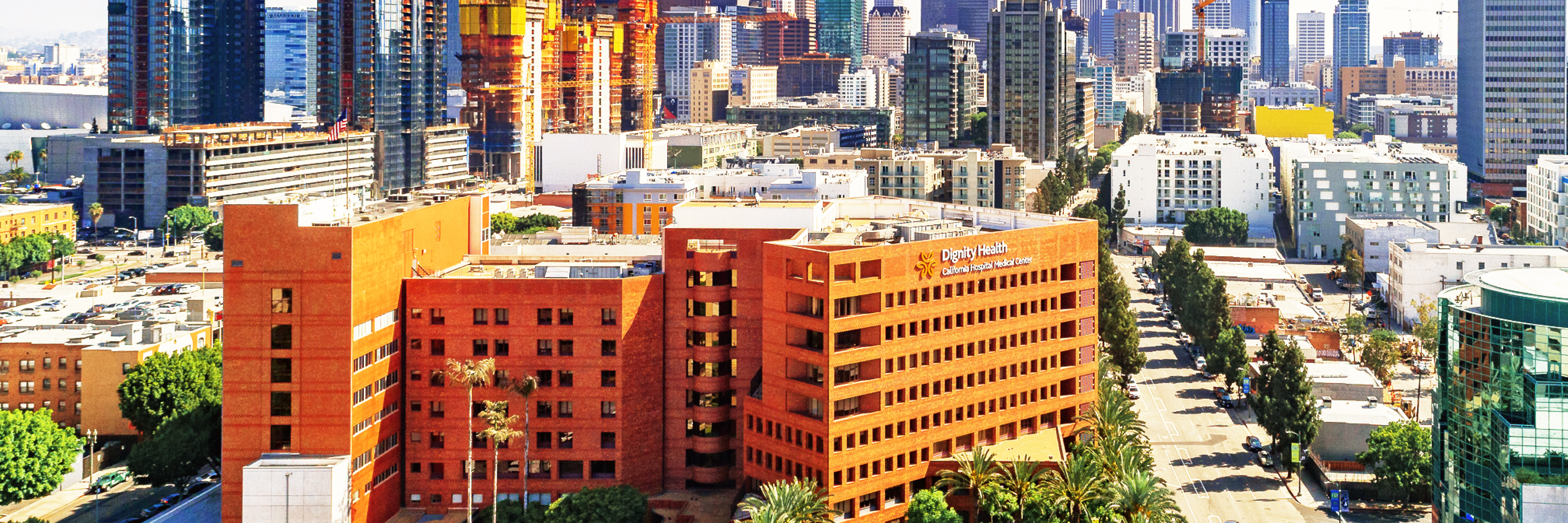 California Hospital Medical Center