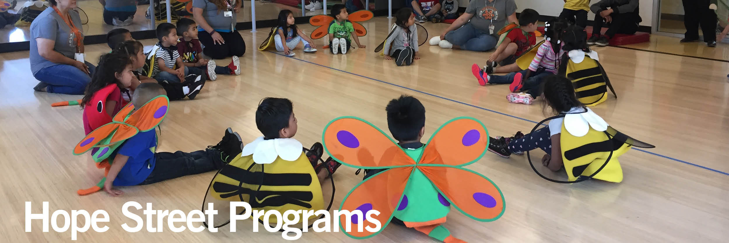 HS Programs