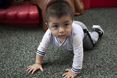 boy toddler crawling on floor